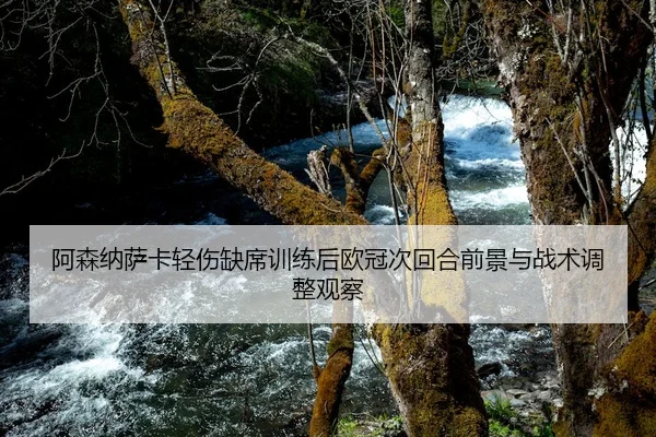 阿森纳萨卡轻伤缺席训练后欧冠次回合前景与战术调整观察